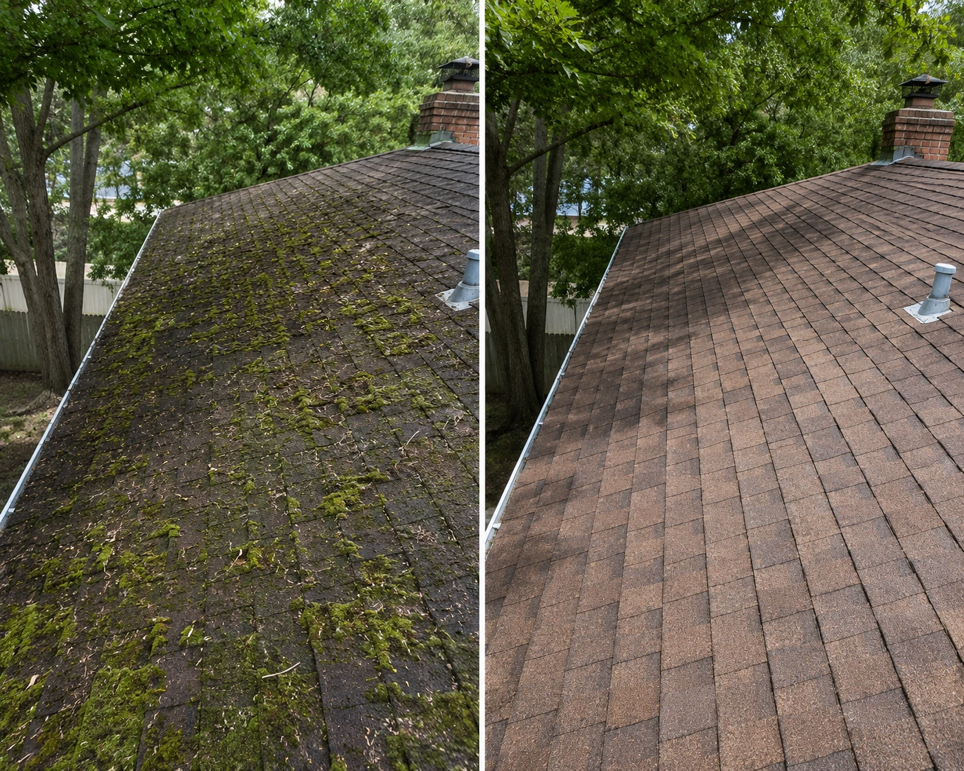 Before/after — Moss Treatment, Shaded Slope